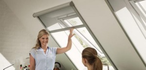 Velux muggengaas 450x255 1 300x144 1